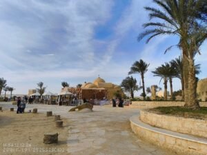 نقل مريح مرشد محترف