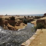 أنشطة بحرية سفاري صحراوية