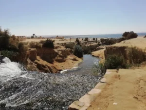 أنشطة بحرية سفاري صحراوية