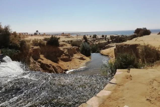 أنشطة بحرية سفاري صحراوية