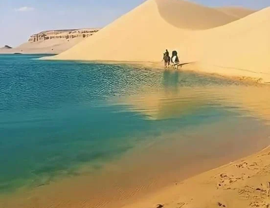رحلات سياحية أفضل سعر